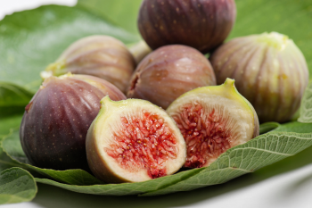 fig