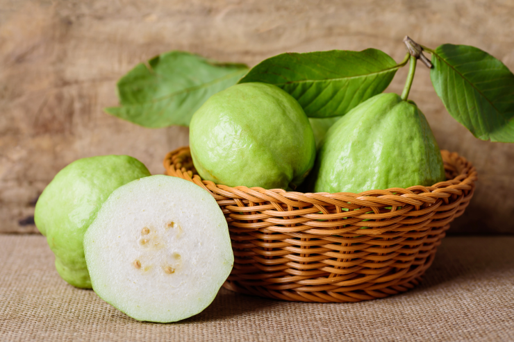 guava